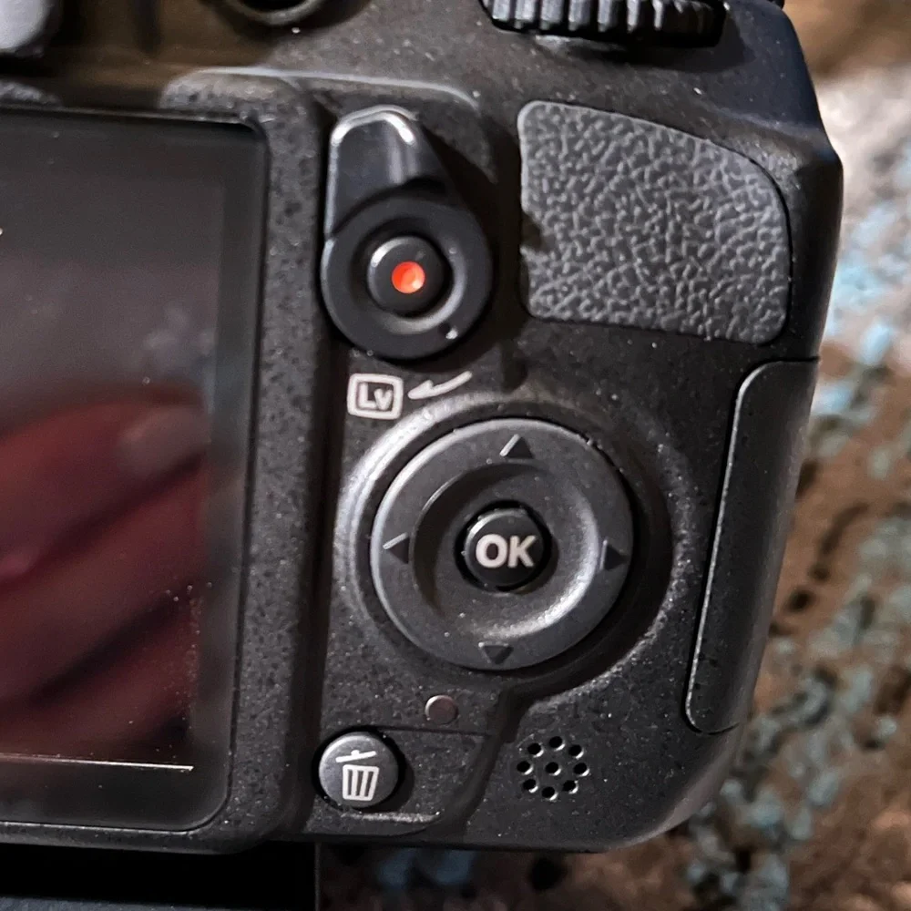 Nikon D3100 digital camera
